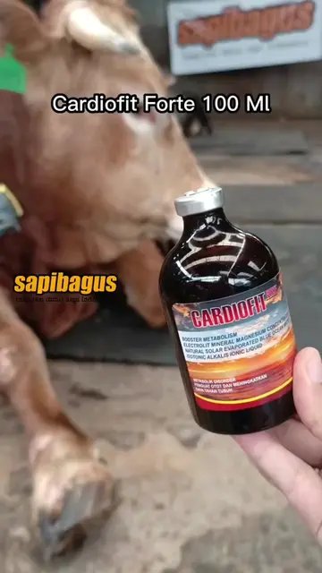 Vitamin-Imunitas-Ternak-Sapi